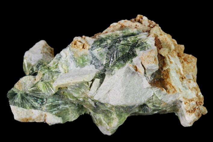 Radiating, Green Wavellite Crystal Aggregation - Arkansas #135958